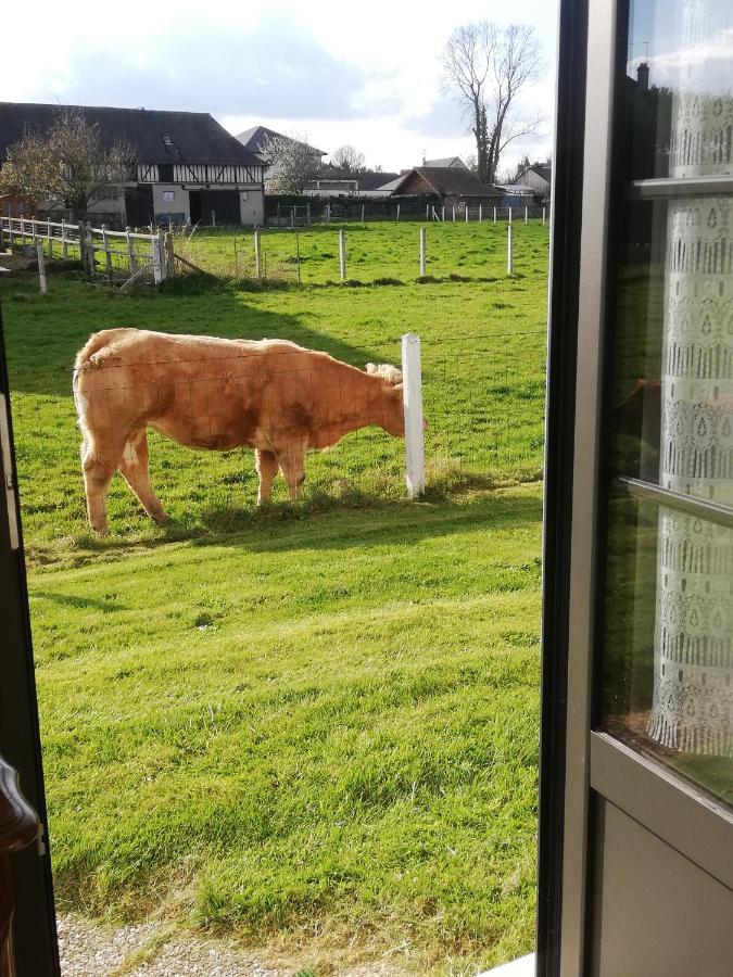 L'Opaline, Jolie Maison Avec Jardin 6 Pers,10Km Honfleur, Linge Et Internet Inclus Beuzeville Esterno foto