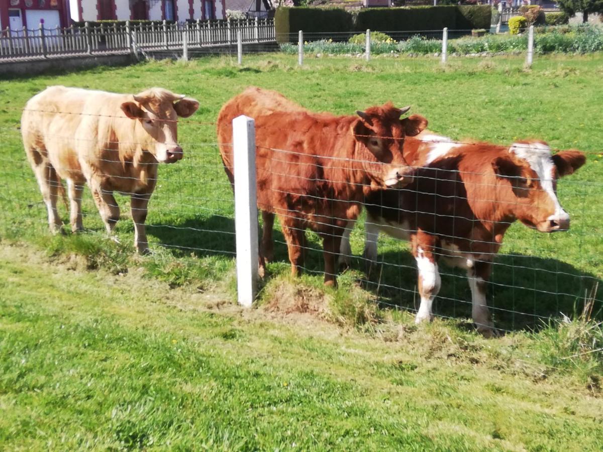 L'Opaline, Jolie Maison Avec Jardin 6 Pers,10Km Honfleur, Linge Et Internet Inclus Beuzeville Esterno foto